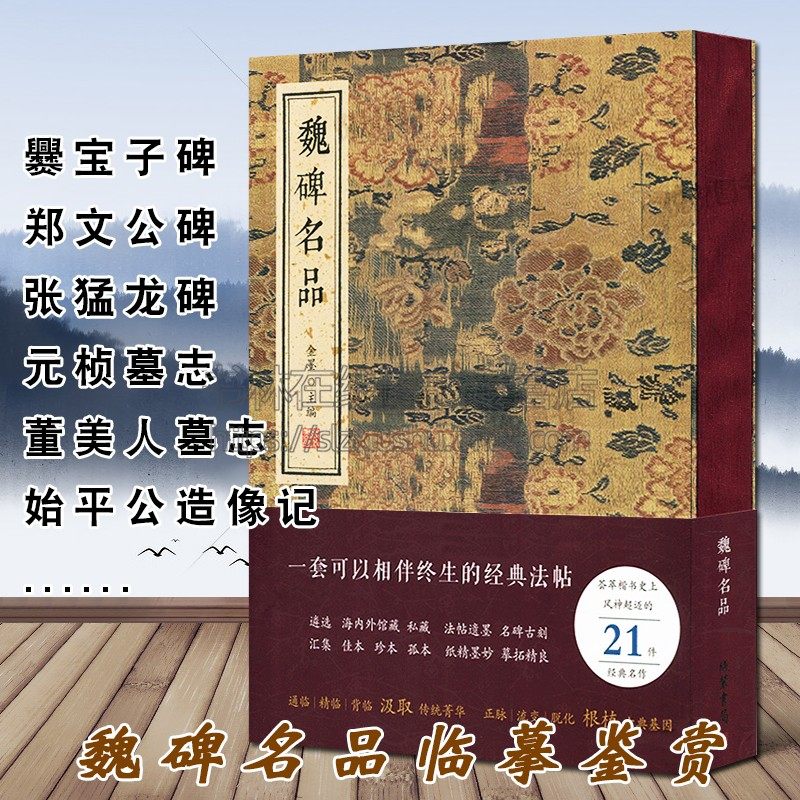 魏碑名品 经典法帖名碑张黑女碑崔敬邕墓志元桢墓志爨龙颜碑张猛龙碑董美人墓志等历代楷书名家代表性作品集碑帖精选临摹书籍