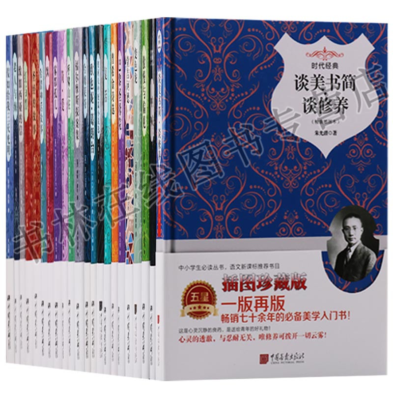 （共22册）傲慢与偏见红与黑巴黎圣母院老人与海呼啸山庄简爱雾都孤儿飘复活 谈美书简.谈修养-(精装插图本)
