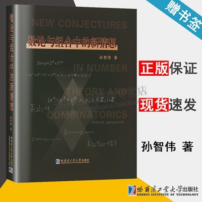 数论与组合中的新猜想 数论函数 研究生选作研究课题教材书籍 数论 哈尔滨工业大学出版社