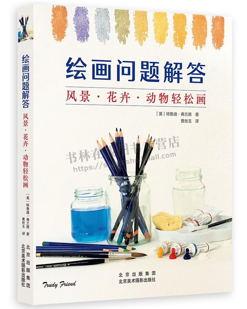 绘画问题解答风景花卉动物轻松画 [英] 特鲁迪·弗兰德 著 桥梁建筑物花卉动物素描铅笔画水彩画颜色构图布局绘画技法教程书籍