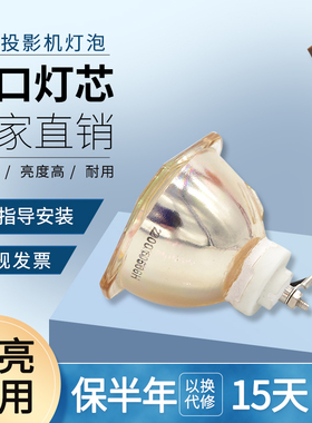 海田适用于夏普XR-10XA XR-12XA XR-20XA XR-22XA XR-9180X XR-2010X XR-2020X XR-2030X投影机灯泡