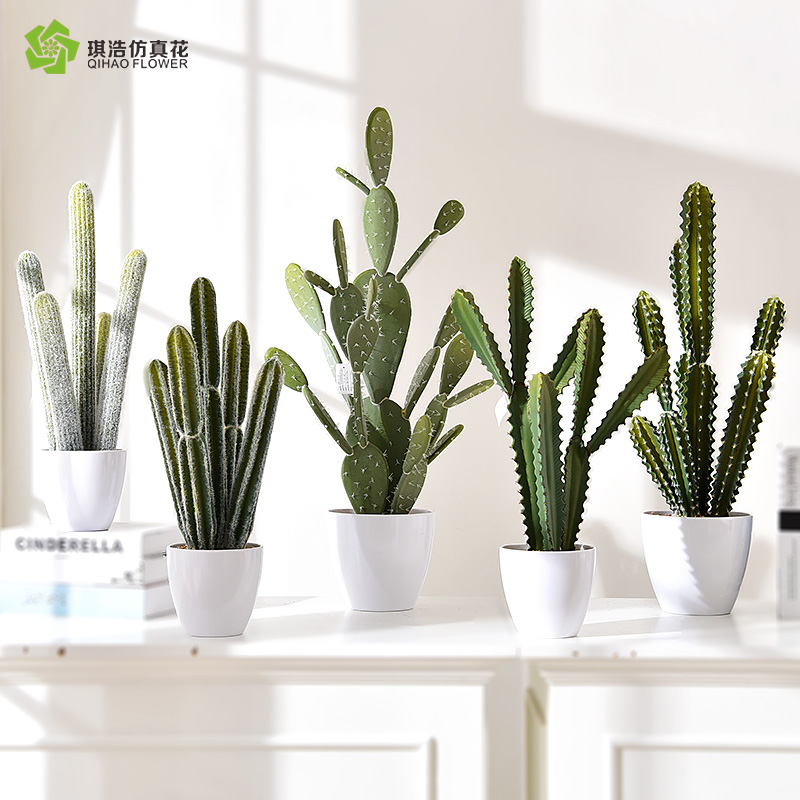 仿真泡沫仙人掌小盆栽客厅办公室创意假多肉植物摆件拍照布景道具