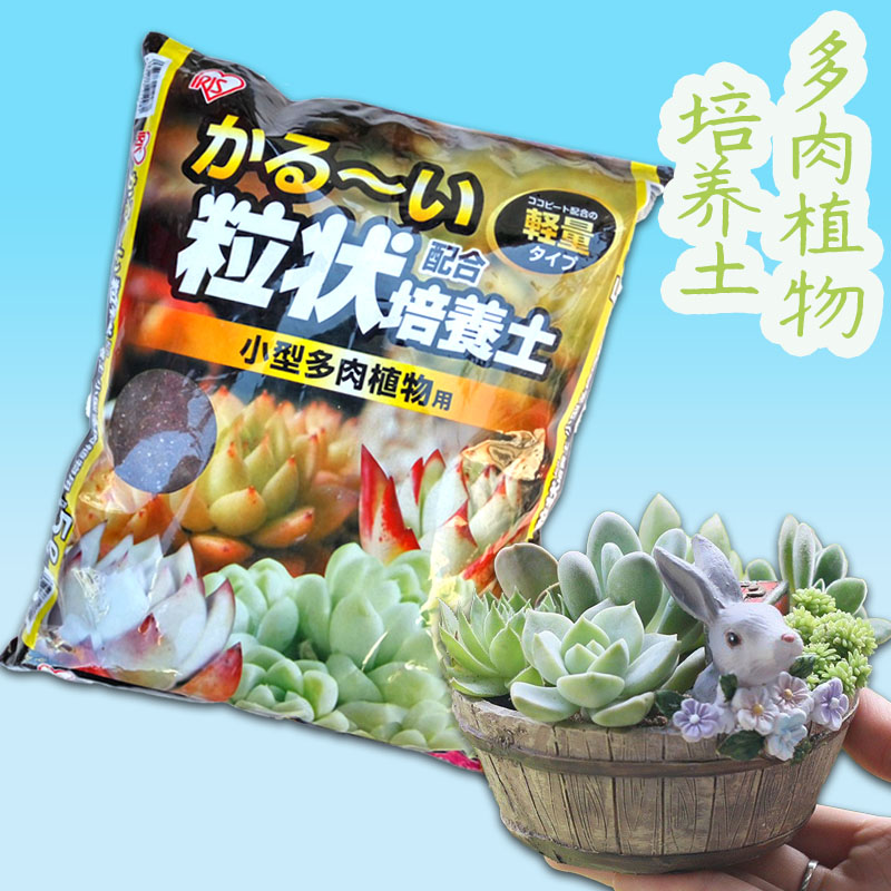 种多肉植物营养土多少钱 种多肉植物营养土优惠券免费领取 有条鱼