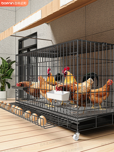 鸡笼子家用特大号室外防雨农村家用室内折叠鸡舍铁丝网养殖笼鸭鹅