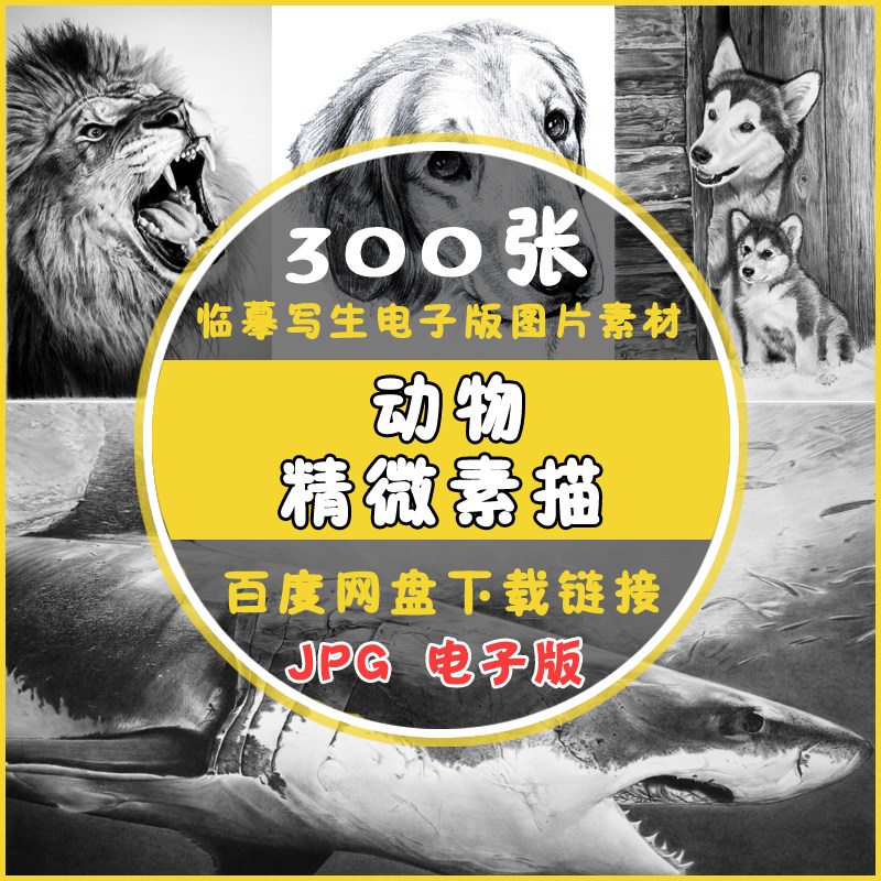 精微素描临摹高清图电子版黑白动物摄影写生美术画室绘画教学素材