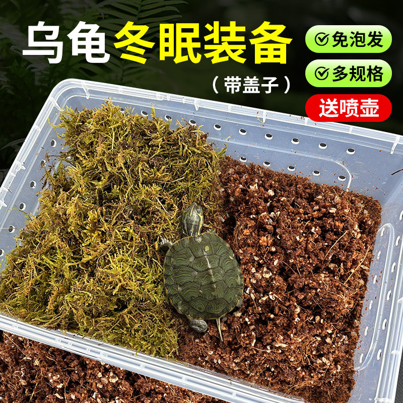 乌龟冬眠用品过冬装备椰土苔藓沙土保温冬眠神器恒温箱乌龟冬眠箱,宠物/宠物食品及用品,爬宠缸/箱,淘宝优惠券,粉丝福利购,淘宝优惠卷