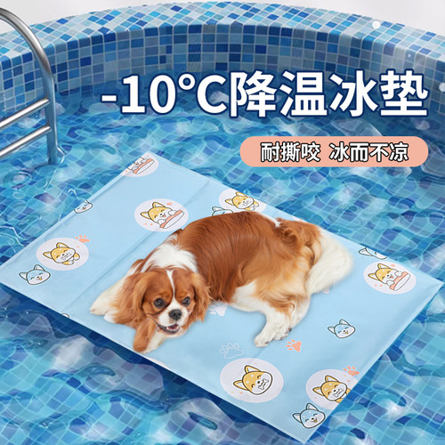 宠物夏季冰垫凉洗睡觉