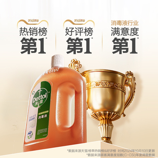 滴露消毒液750ml 多效衣物除菌液1L 達人直播間 2瓶