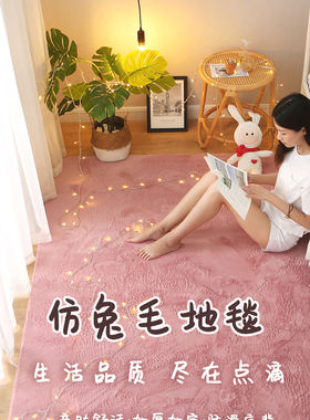 仿兔毛地毯卧室加厚羽绒白色ins风床边少女客厅毛绒网红飘窗地垫