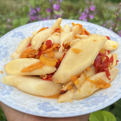 湖南酸辣姜片无添加农家自制泡姜