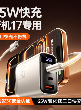 德国宾博【新机17】氮化镓65W三口超级快充插头适用于iphone16充电器手机Type-C充电头15/14充电编织数据线