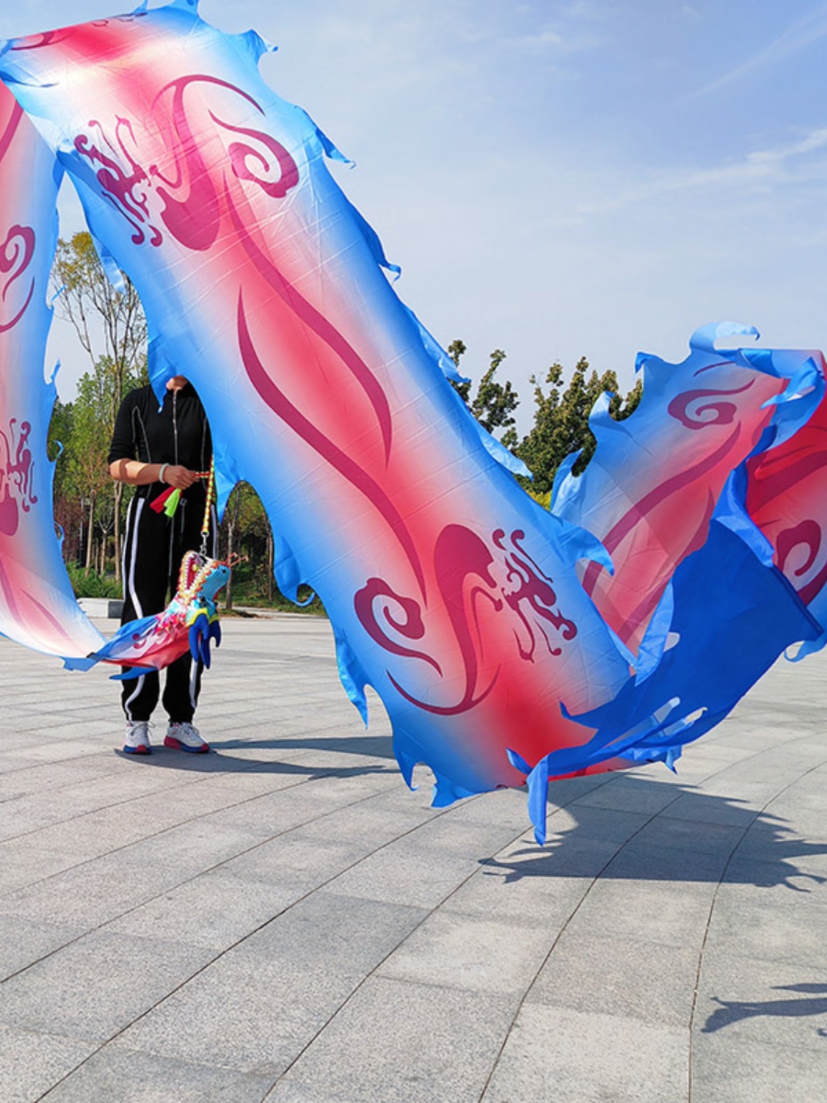 男女广场运动健身龙带甩彩带七彩中国节彩绸一体镂空钢架龙头舞龙