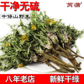 野生蒲公英整根特新鲜浦草株颗棵级婆婆丁干货中药材正品 花茶250g