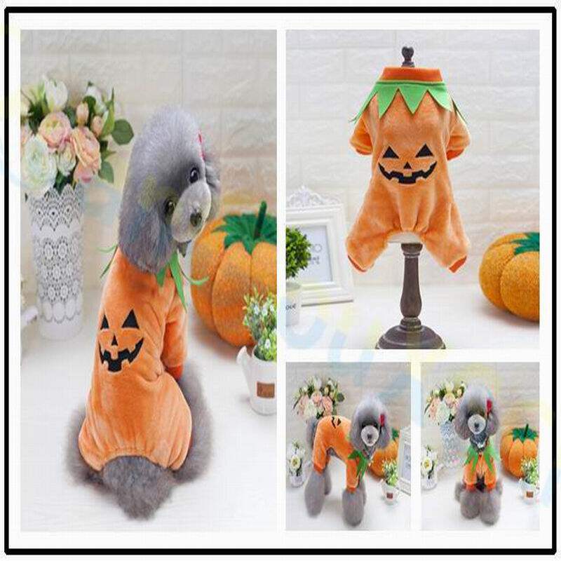万圣节派对南瓜鬼衣服秋冬宠物变身服装猫衣服泰迪博美小狗衣服
