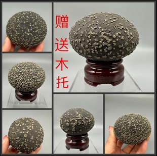 云南铁胆石天然矿物晶体矿石标本原石奇石摆件 教学标本 地质科普