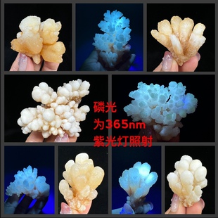 云南磷光方解石天然矿物晶体矿石标本原石奇石摆件 教学标本地质