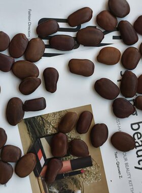 特惠价格仪花种子标本diy手工标本制作材料瑕疵品种子