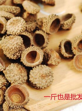 【天然果实橡子壳】橡果壳材料工艺品原料手工diy圣诞装材料干果