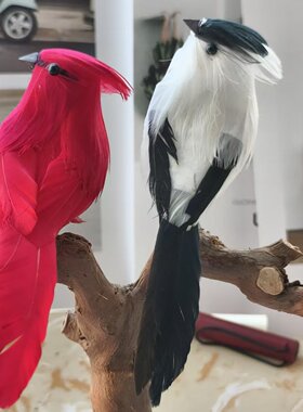 真羽毛仿真小鸟 森系园林园艺装饰鸟 白色红色工艺品泡沫假鸟