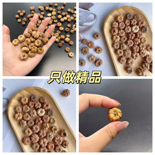 小桔瓜小南瓜干花材料森系复古