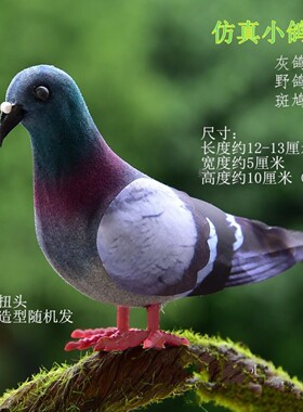 灰鸽子仿真小鸽子鸟家居景观装饰品摆件野鸽子广场鸽小模型假斑鸠