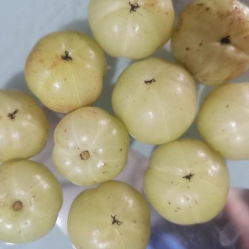 新鲜甜品种油甘果油甘王柿饼甜油柑果甘甜可口2斤包邮现摘现发