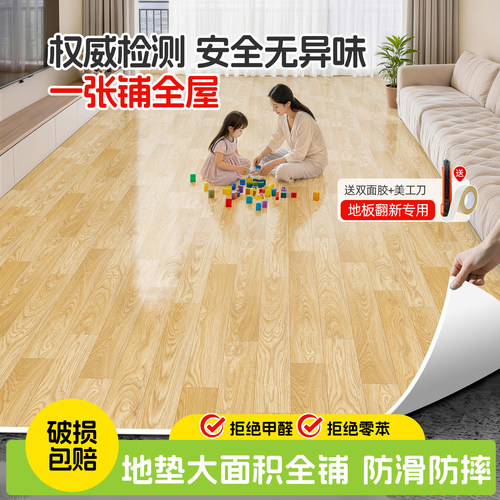 防滑耐磨加厚家用地毯