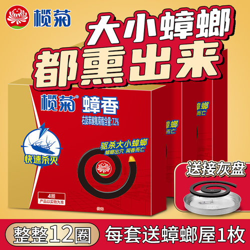 榄菊蟑香家用烟熏驱赶蟑螂一窝端