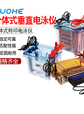 拓赫分体式垂直电泳仪CZDY-4S转印电泳ZYDY-4S电泳仪电源THDY-6S