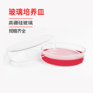 加厚耐高温玻璃培养皿60mm 75mm90mm100mm玻璃平皿高透明上海五一