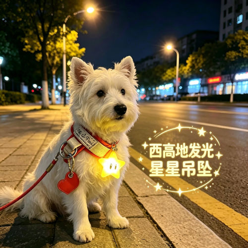 西高地白梗专用狗狗夜间发光吊坠项圈夜晚发光灯防走失遛狗胸背