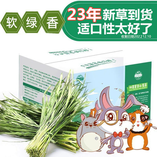洁西兔兔干草小麦荷兰龙猫包邮