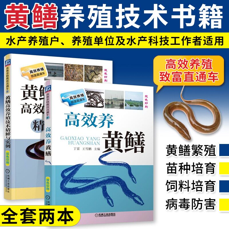 高效养黄鳝+黄鳝高效养殖技术精解与实例 黄鳝养殖技术书养殖技术书籍大全  科学饲养鳝鱼水产高效 黄鳝养殖新技术 鳝鱼繁殖防治病使用感如何?