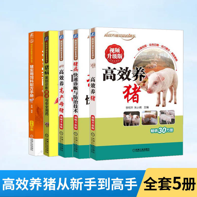 高效养猪+高产母猪+猪病快速诊断与防治技术+猪病鉴别诊断与安全用药+猪实用饲料配方 全5册 视频升级养猪技术书大全猪病诊治与用