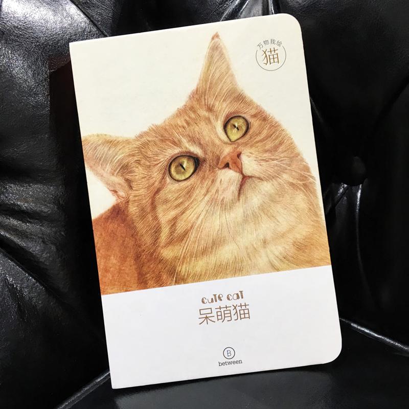猫手账本猫咪手账本笔记本本子日记本手帐本记事本小本子宠物高颜值初中生高中生专用空白本日程本方格本加厚口袋本简约2025