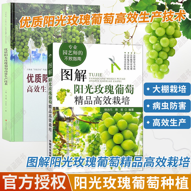 2册 优质阳光玫瑰葡萄高效生产技术+图解阳光玫瑰葡萄**高效栽培 阳光玫瑰葡萄种植栽培技术书书籍水果果树病虫害防治修剪大棚种