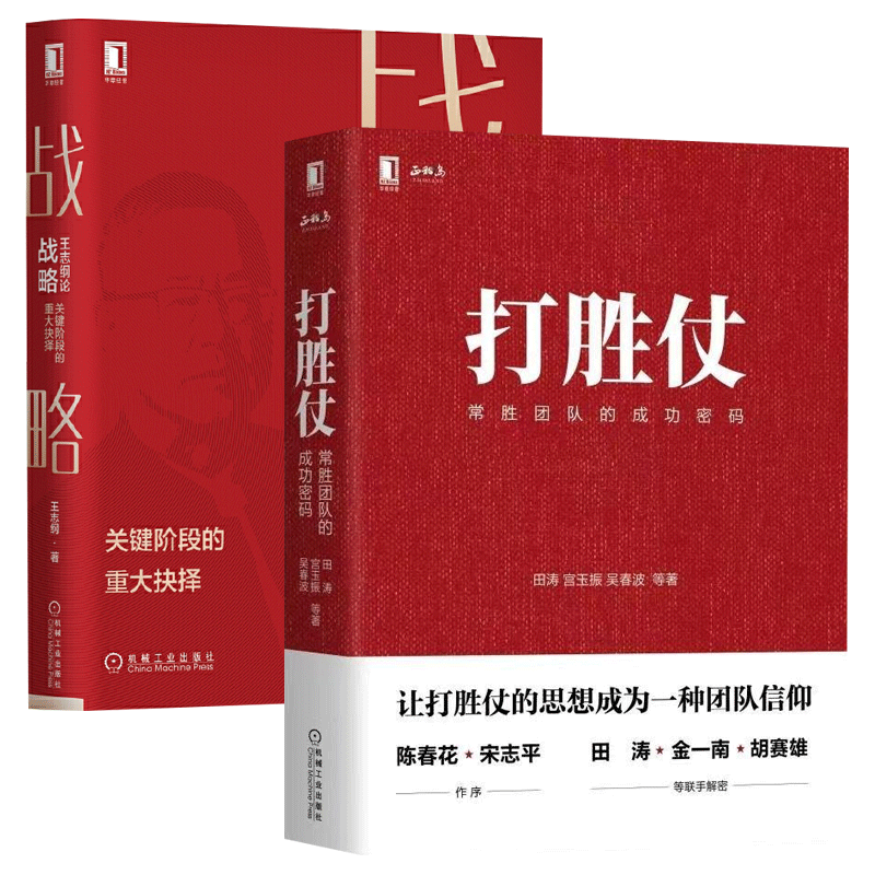 打胜仗:常胜团队的成功密码+王志纲论战略:关键阶段的重大抉择 全2册 田涛宫玉振吴春波管理书籍企业王志刚战略书籍企业管理战略
