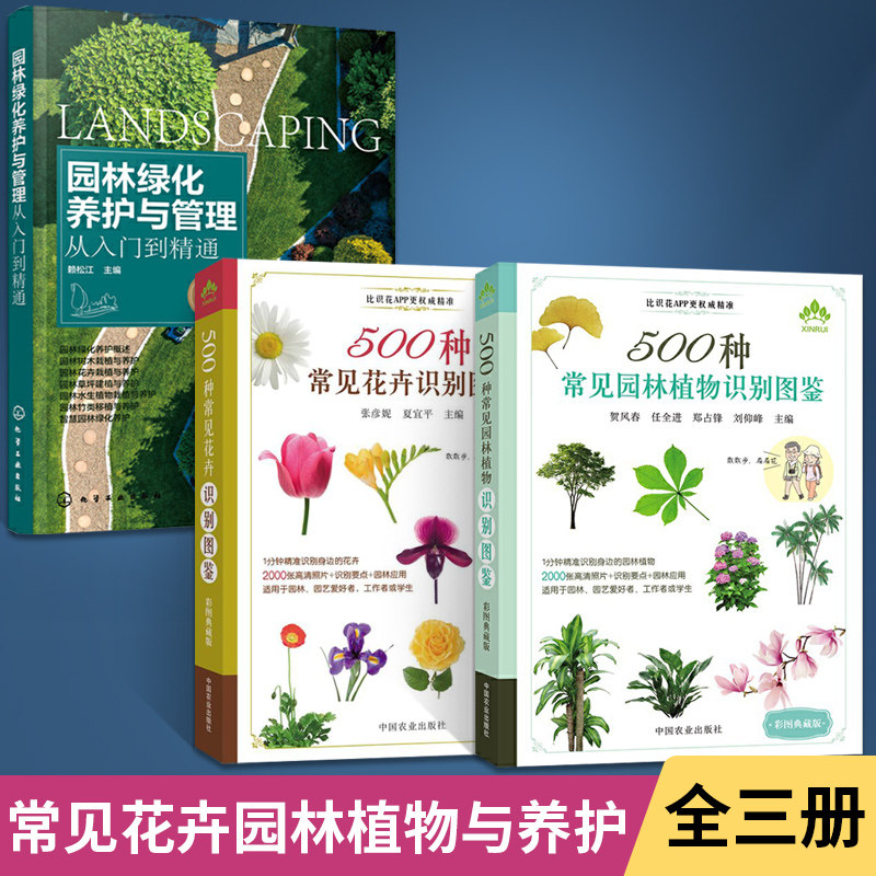 【全3册】园林绿化养护与管理从入门到精通+500种常见园林植物识别图鉴+500种常见花卉识别图鉴 彩图植物鉴别 园林绿化施工技术