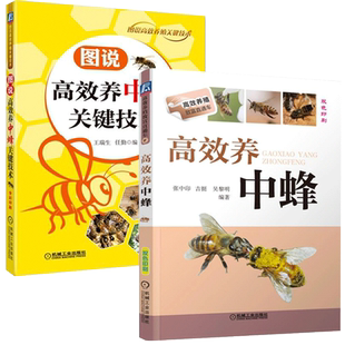 高效养蜂书籍2册 高效养中蜂+图说高效养中蜂关键技术中华蜂土蜂新技术 养蜂书籍大全技术蜜蜂中蜂养殖书养蜂养蜜蜂技术教程