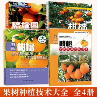 全4册柑橘高产优质栽培与病虫害防治图解+脐橙园生产与经营致富一本通+图说脐橙优质高效栽培技术+图说柑橘整形修剪与12月栽培管理