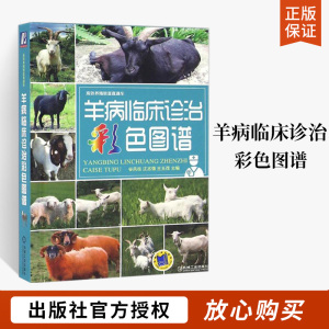 羊病临床诊治彩色图谱实用羊病防治新技术手册 疾病防治诊断**常见疾病防疫检疫高效养羊养羊技术大全书籍羊病临床诊疗羊养殖书