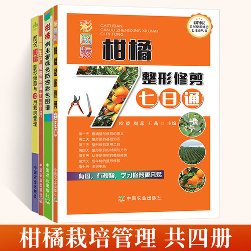 柑橘种植技术书籍4册  果树橘子桔子修剪农业种植管理技术高效栽培大全书病虫害防治生产精细管理十二个月绿色防控彩色图谱七日通