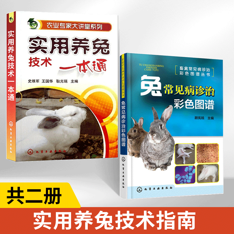 【全2册】实用养兔技术一本通养兔技术大全兔子养殖技术书肉兔科学养殖书籍农业畜牧兽医专业圈养兔病预防与诊治野兔饲养养殖场