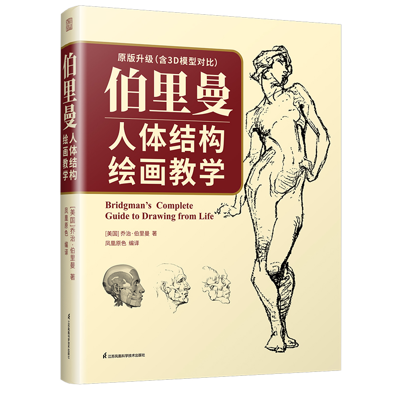 伯里曼人体结构绘画教学 素描书临摹画册入门教材书 理解人体形态艺用解剖绘画教学速写人物头像造型手绘基础技法艺术画画美术书籍