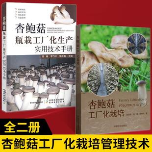 【全2册】杏鲍菇工厂化栽培+杏鲍菇瓶栽工厂化生产实用技术手册 食用菌种植技术指导书 杏鲍菇菌种制作栽培原料栽培出菇管理技术
