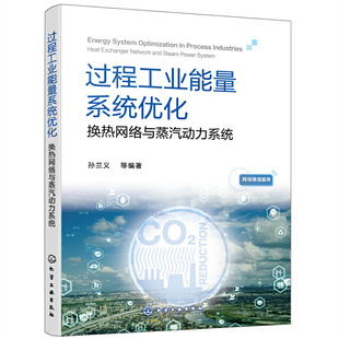 过程工业能量系统优化 换热网络与蒸汽动力系统 夹点技术基础知识 Aspen Energy Analyzer入门 高等院校相关专业学生应用技术书籍