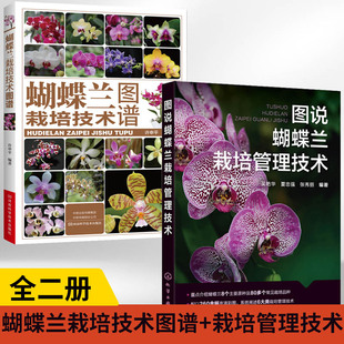 运输常见病虫害及防治组盆家庭养殖水培方法装 图说蝴蝶兰栽培管理技术选育培育包装 蝴蝶兰栽培技术图谱 饰与应用百科全书 全2册