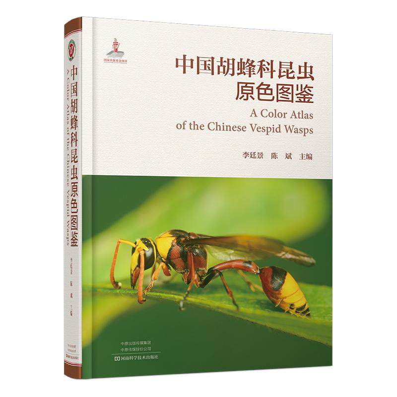 中国胡蜂科昆虫原色图鉴 李廷景 陈斌 中国胡蜂科系统分类图鉴 中国胡蜂科昆虫分亚科分属分种检索表专业昆虫学科普书