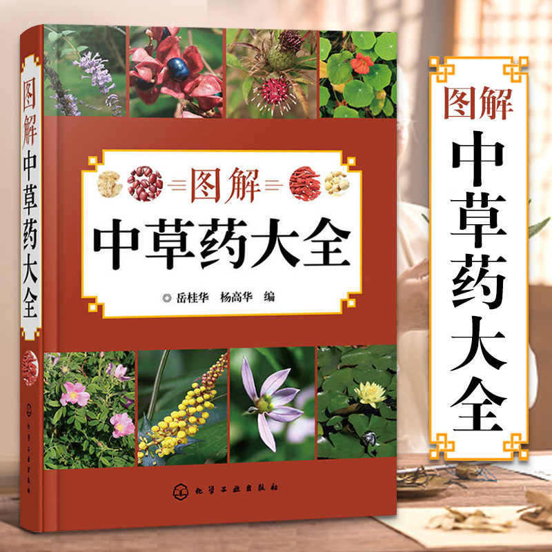 图解中草药大全 中草药大全中药书书籍中药材图解药用药配方医学类医书籍中医千金方黄帝内经本草纲目彩图图书草药书中医书籍