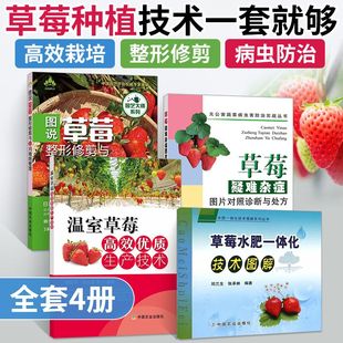 草莓种植技术书籍4册 大棚草莓栽培技术种植育苗书大全农业果树病虫害图谱教程高效优质生产技术整形修剪与12月栽培管理疑难杂症图